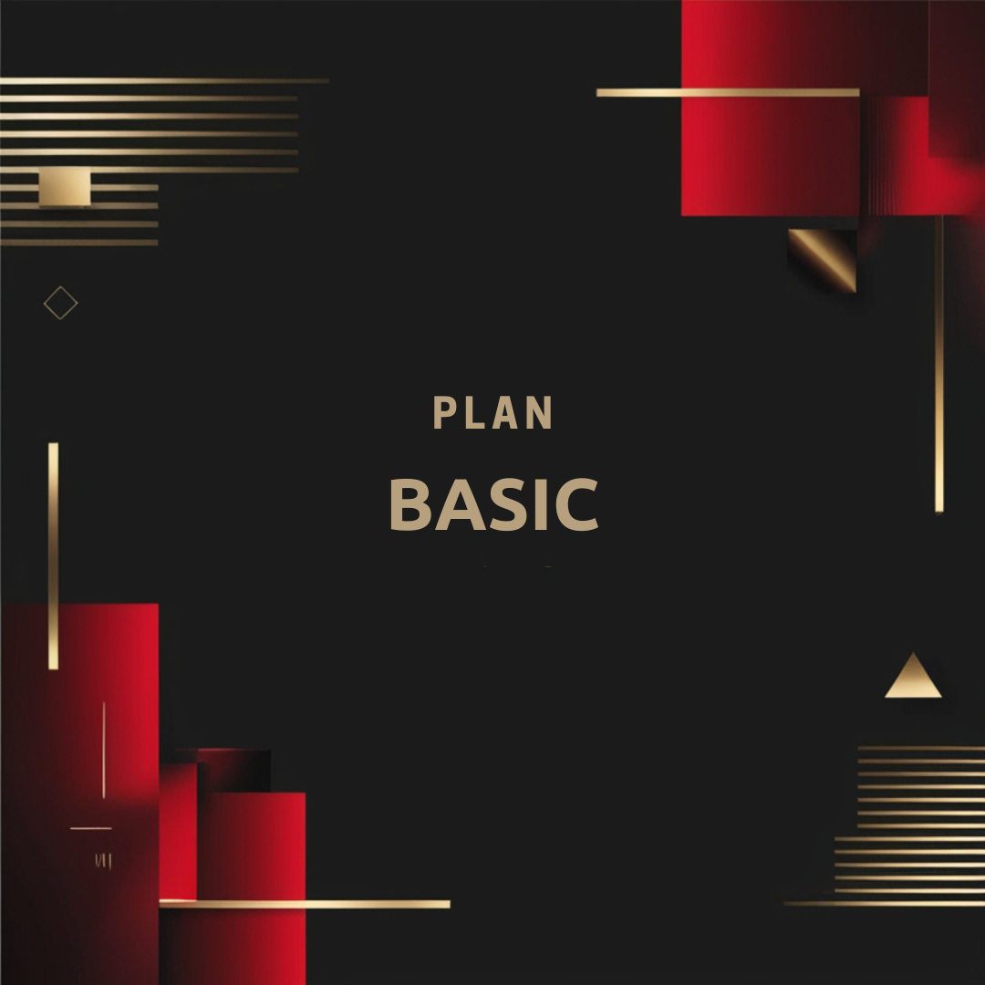 Basic Plan